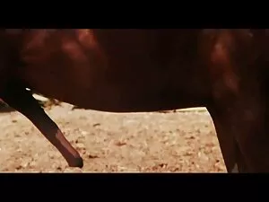 Pretty Raw videos le ...