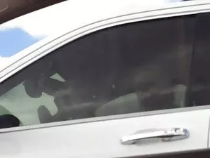 Enorme elfo cojiendo ...