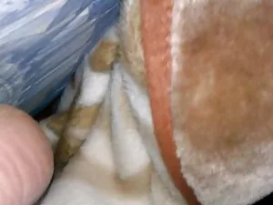 Nicole se comparte c ...